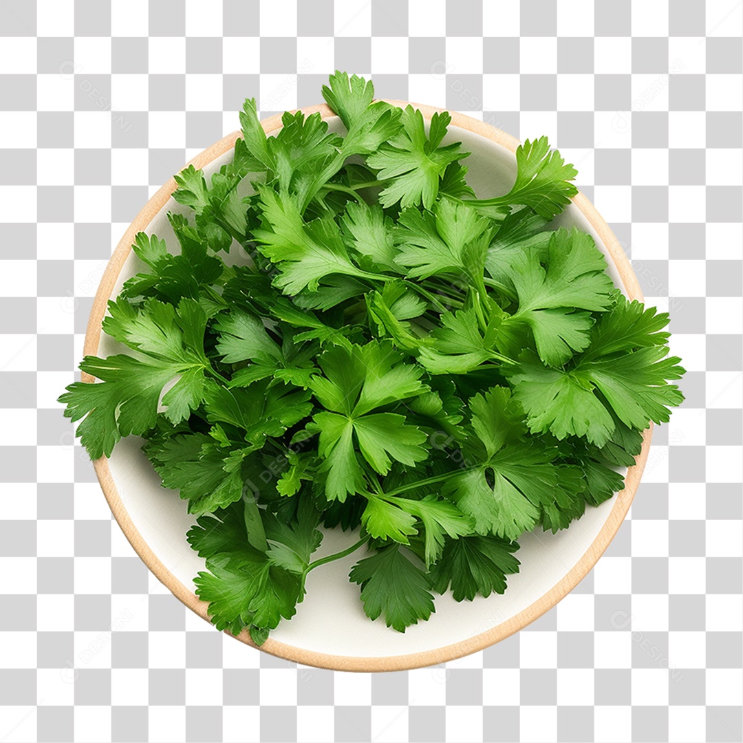 Salsinha Folha Verde PNG Transparente