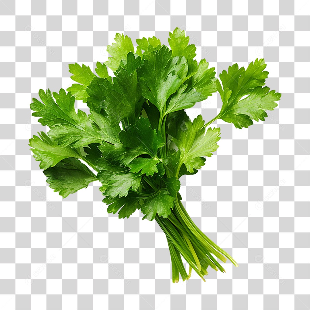 Salsinha Folha Verde PNG Transparente