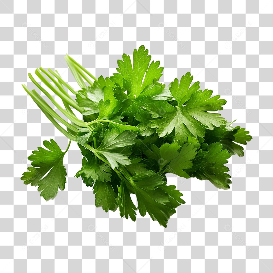 Salsinha Folha Verde PNG Transparente