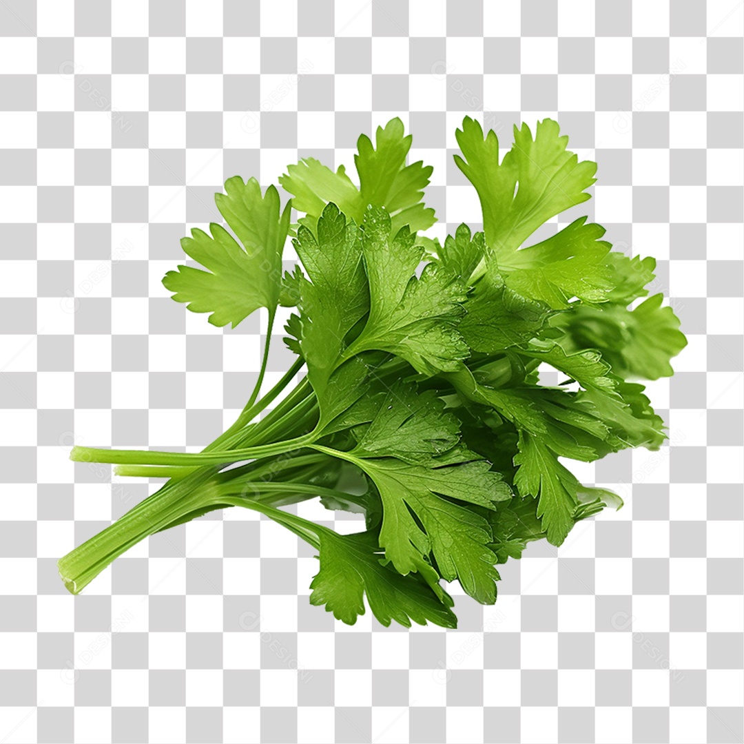 Salsinha Folha Verde PNG Transparente