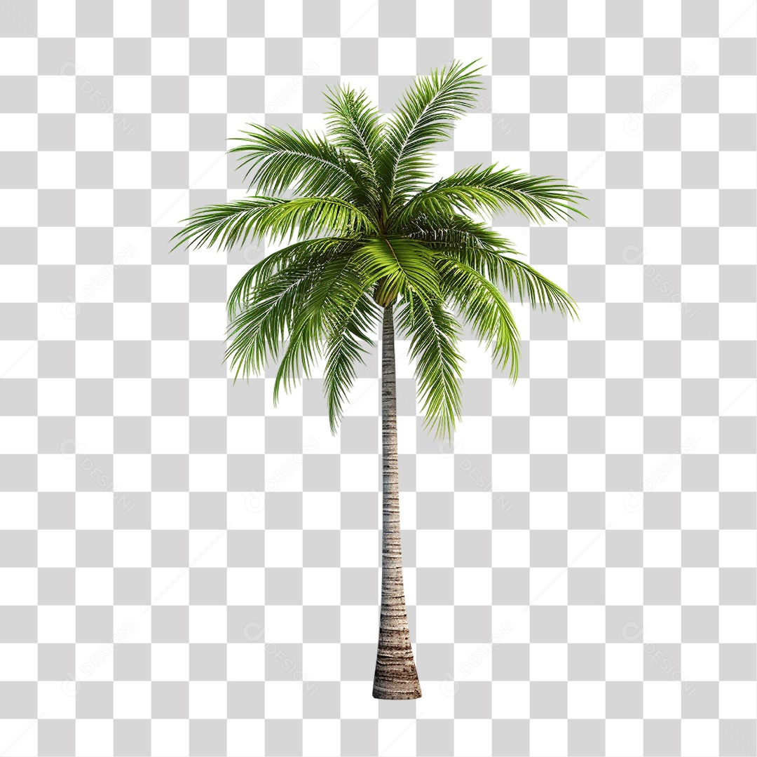 Elemento 3D Coqueiro Árvore PNG Transparente