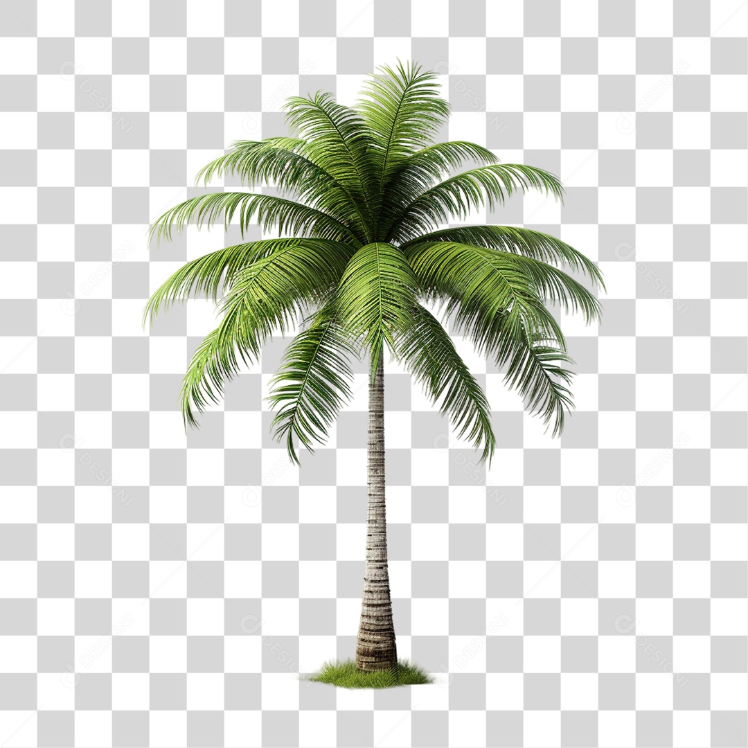 Elemento 3D Coqueiro Árvore PNG Transparente