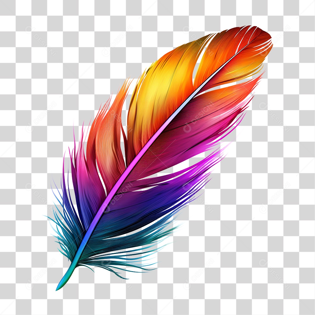 Pena Colorida PNG Transparente