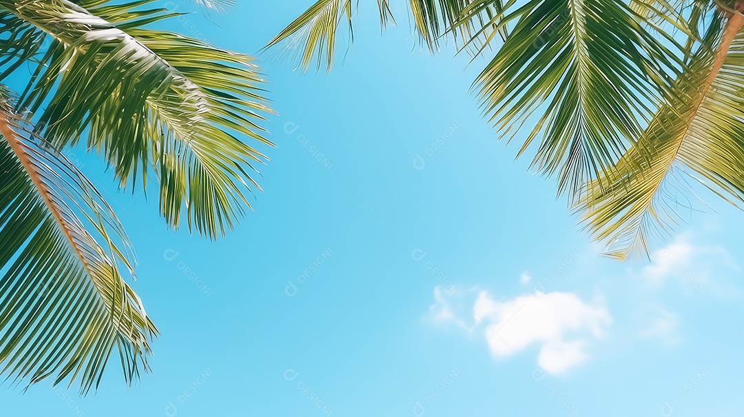 Palmeira de coco no fundo do céu azul