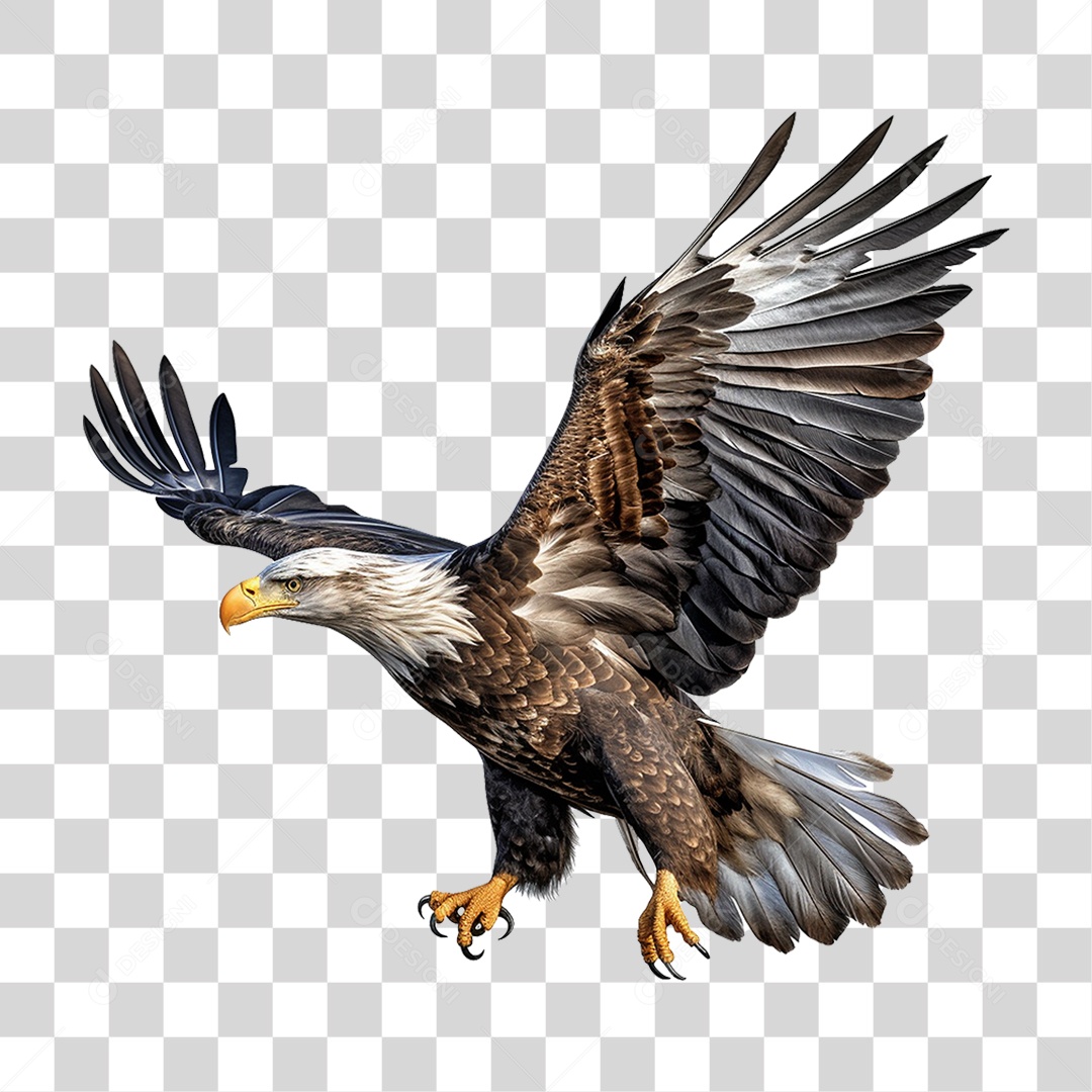 Águia Ave PNG Transparente