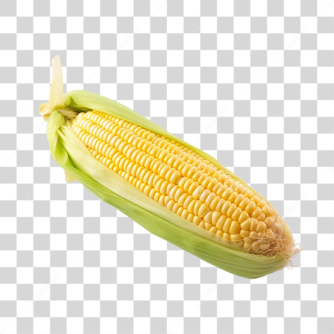 Espiga de Milho PNG Transparente