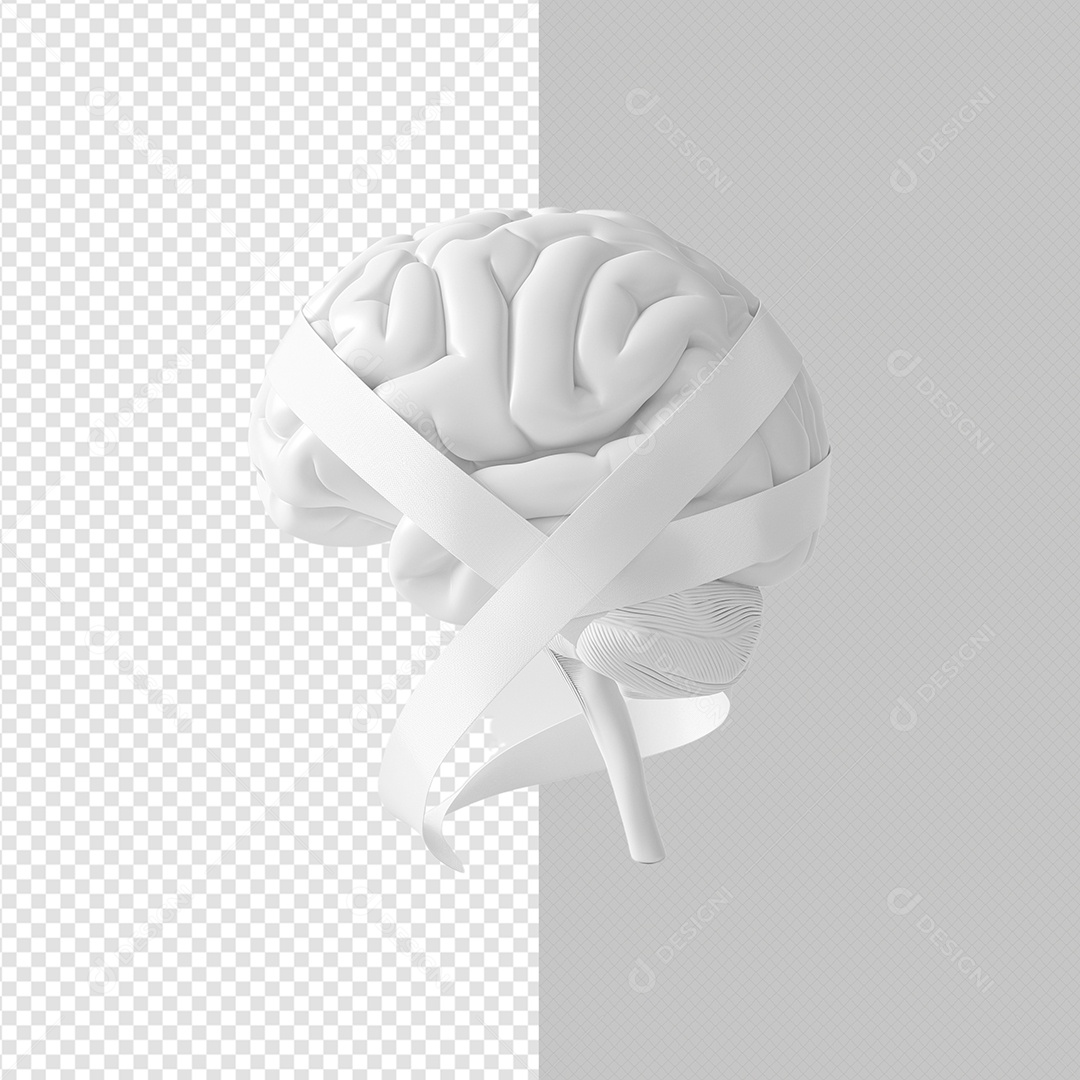 Elemento 3D Cerébro Branco Janeiro Branco Para Composição PSD