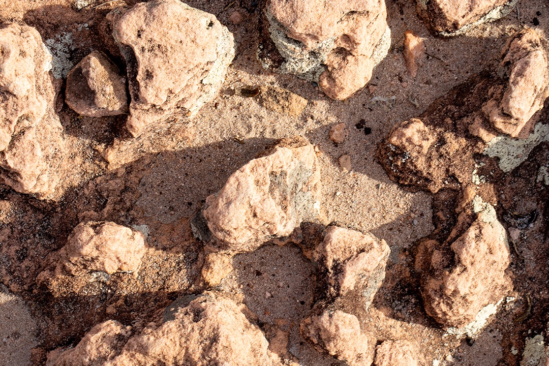 Textura de rocha com diversas pedras proeminentes