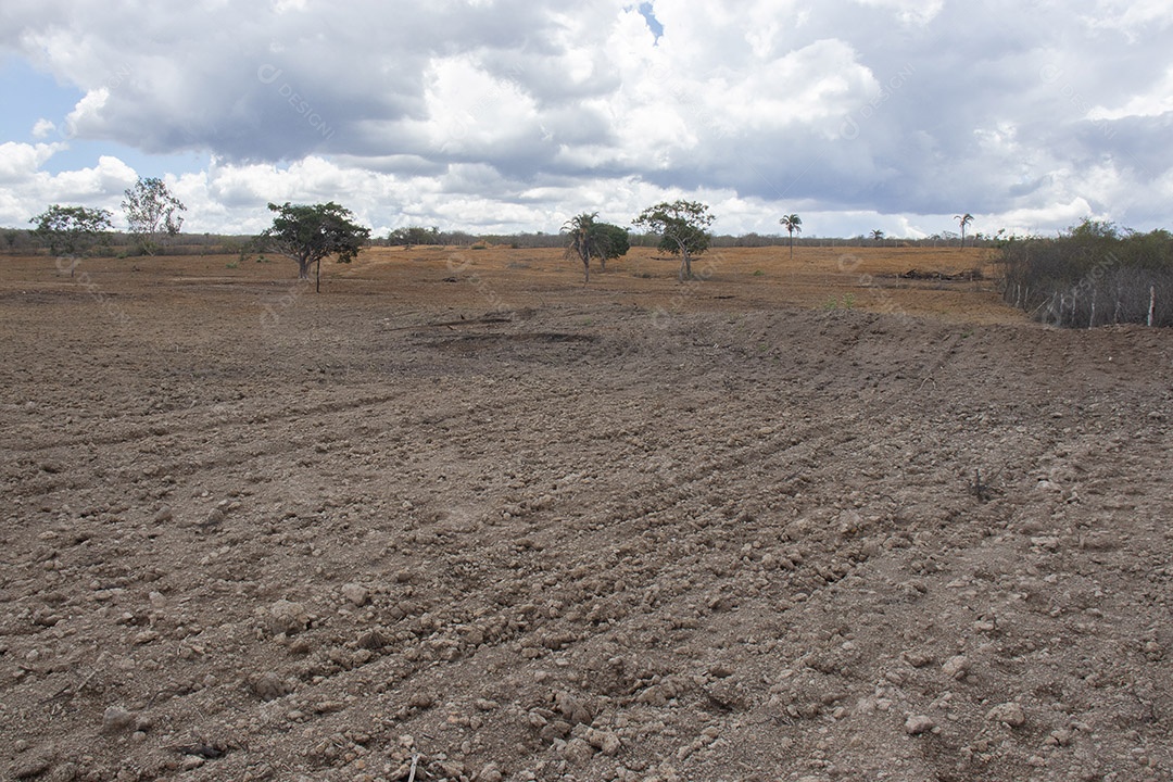 Terra gradeada para plantação