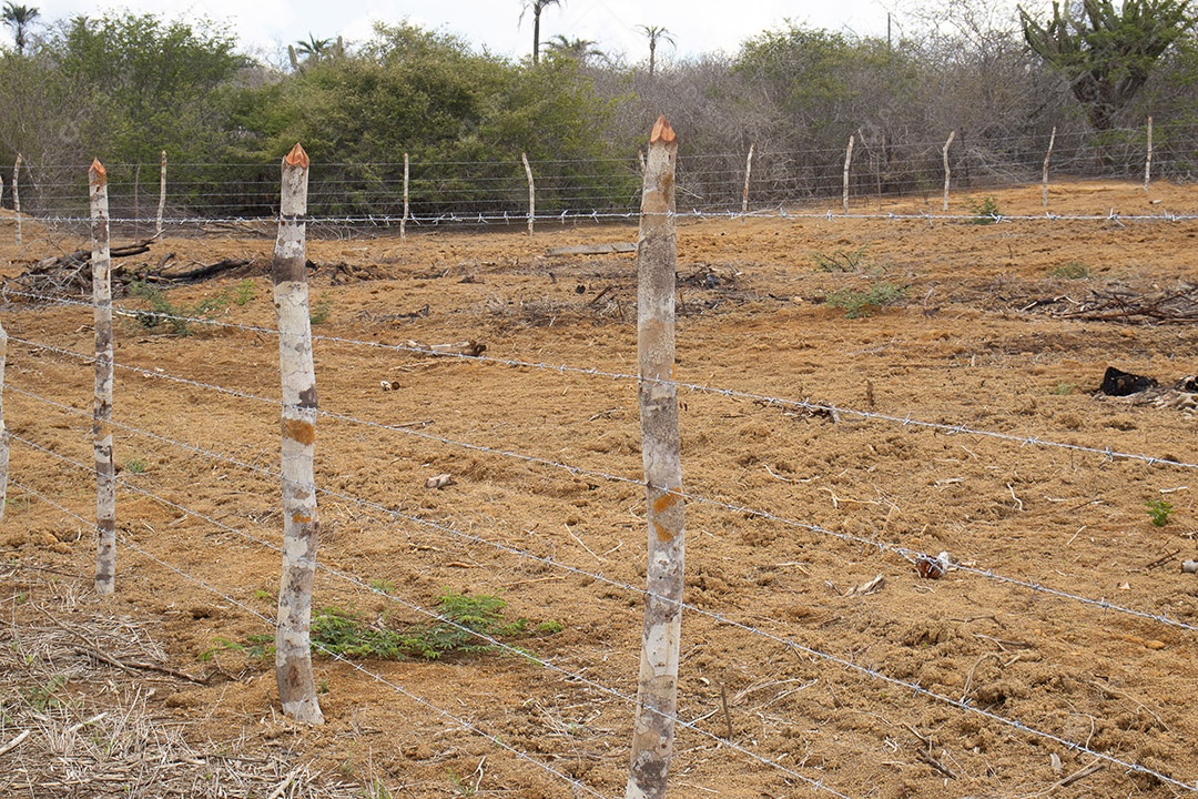 Cercado novo de uma fazenda