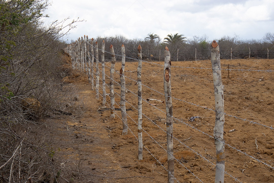 Cerca de uma fazenda