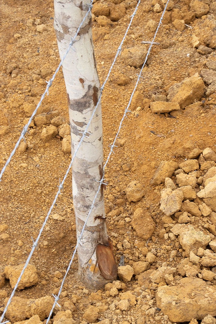 Cerca de uma fazenda