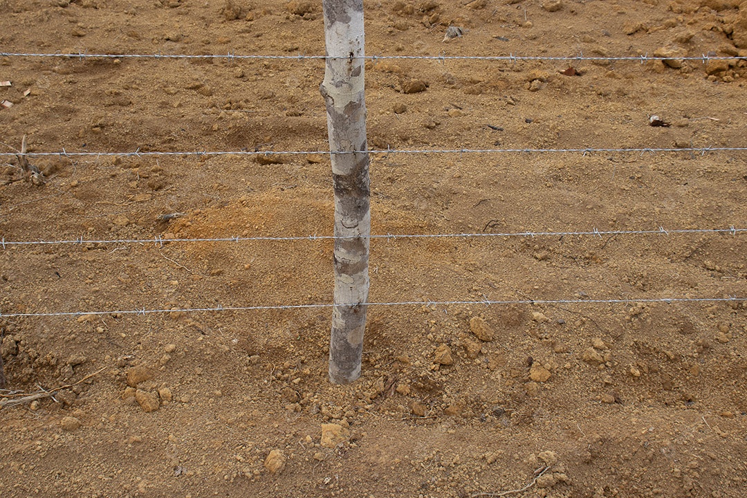 Cerca de uma fazenda