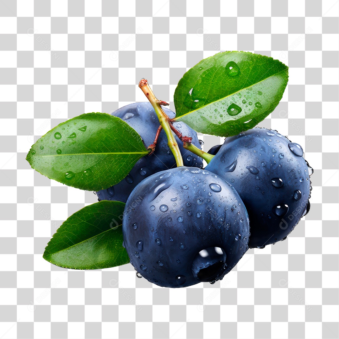 Frutas Mirtilo PNG Transparente