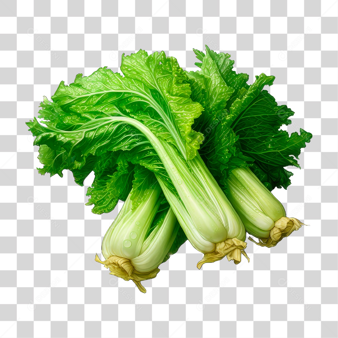 Maço de Aipo PNG Transparente