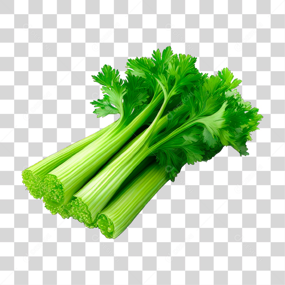 Maço de Aipo PNG Transparente