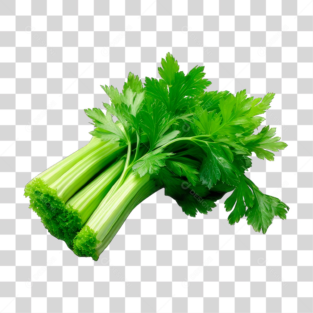 Maço de Salsão PNG Transparente