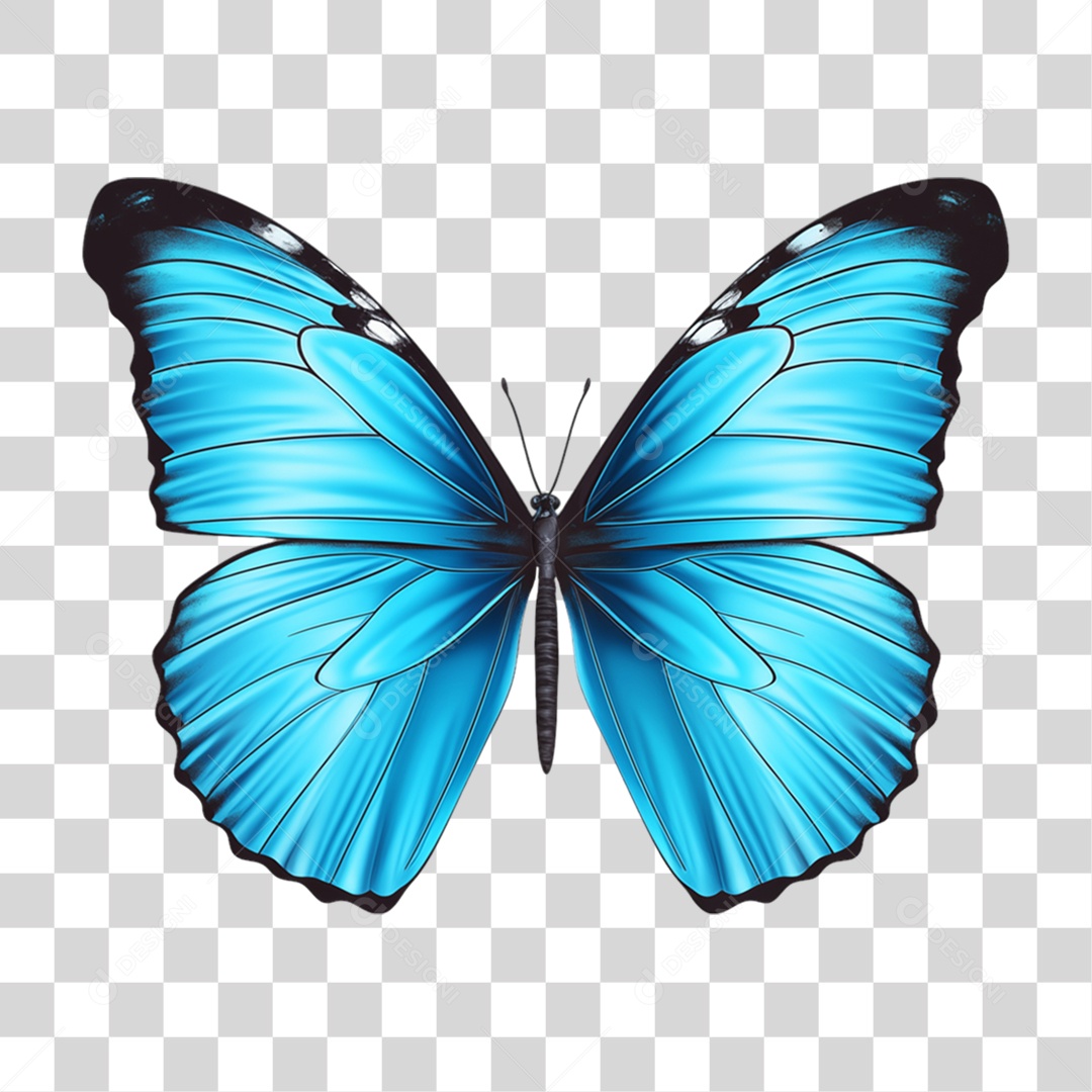 Borboletas Inseto Cores PNG Transparente