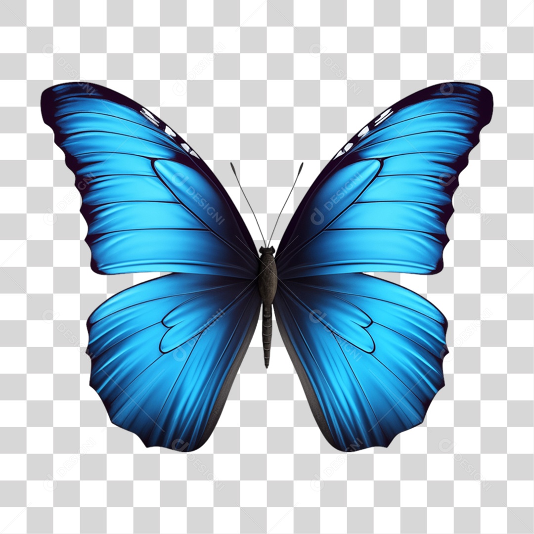 Borboletas Inseto Cores PNG Transparente