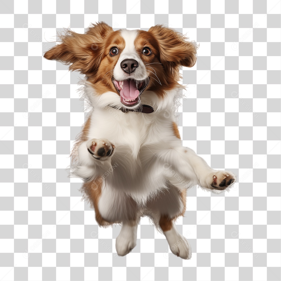 Cachorro Pet Animal de Estimação PNG Transparente