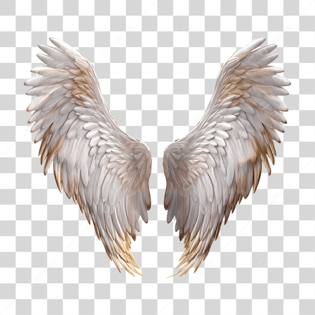 Asas Enfeites Decorações Carnaval PNG Transparente