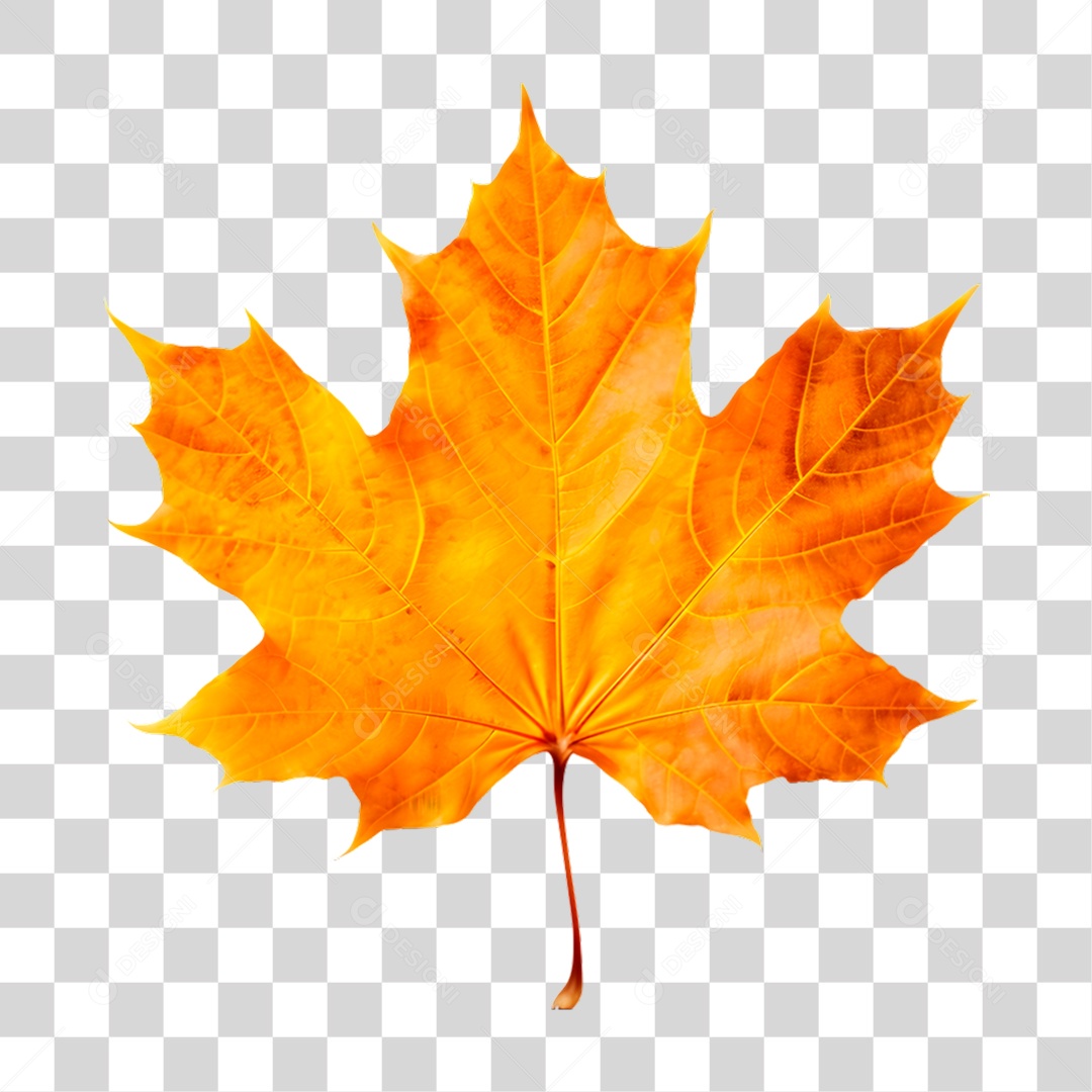 Elemento 3D Folhas de Outono PNG Transparente