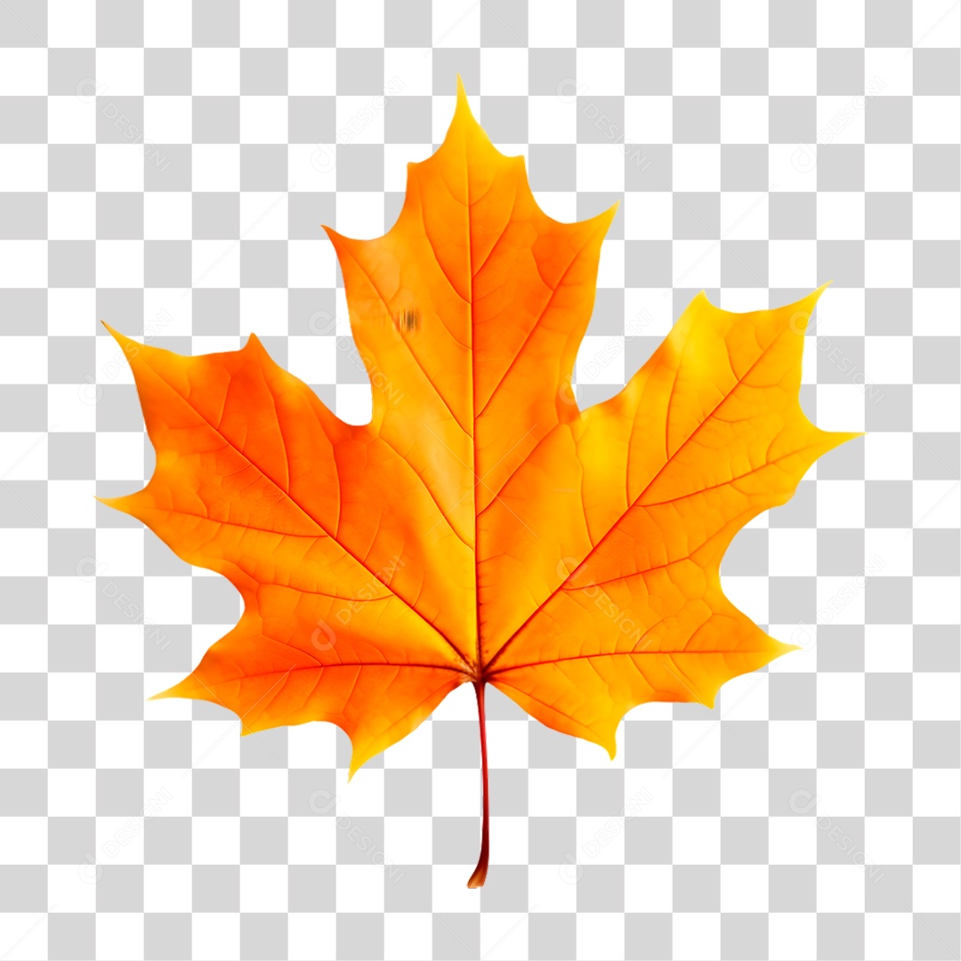 Elemento 3D Folhas de Outono PNG Transparente