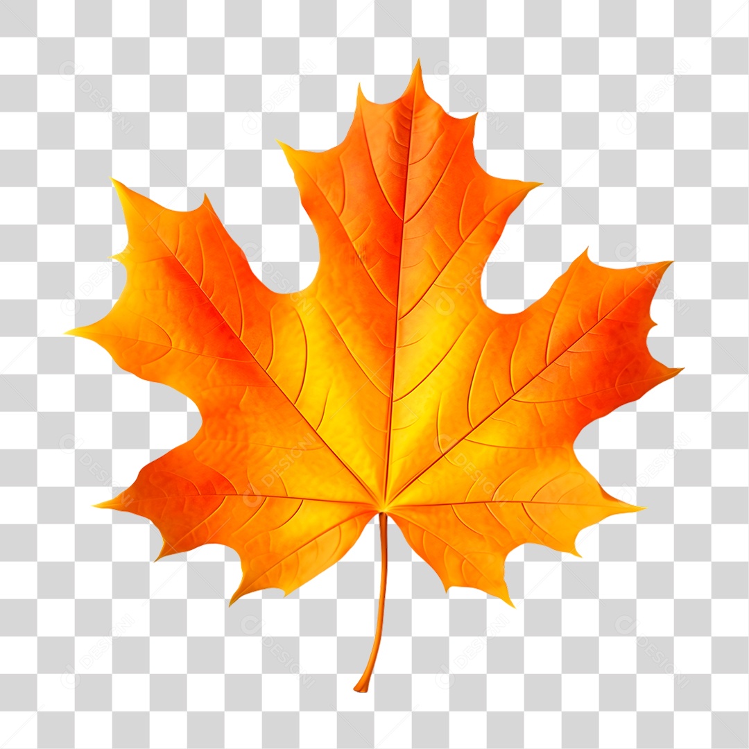 Elemento 3D Folhas de Outono PNG Transparente