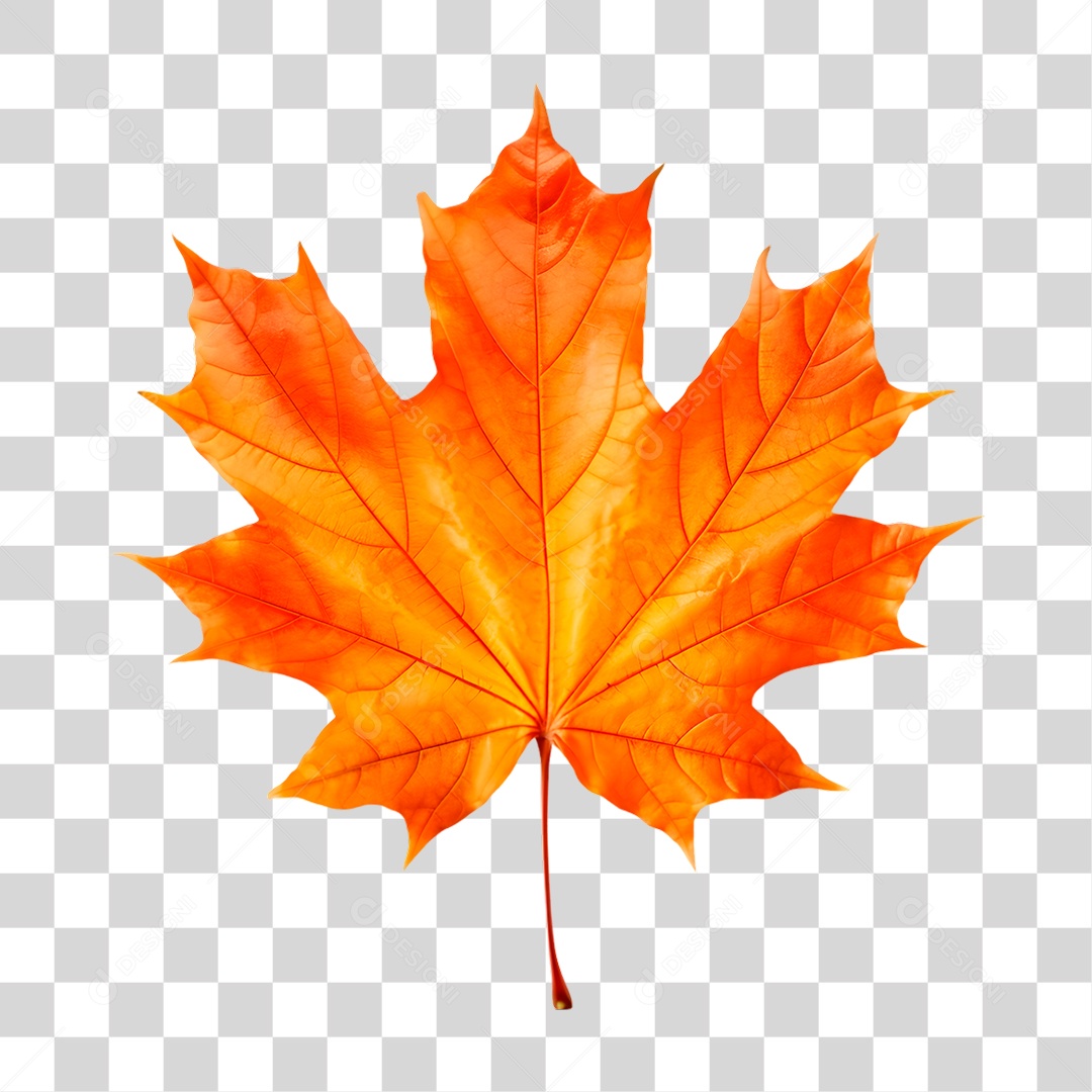 Elemento 3D Folhas de Outono PNG Transparente