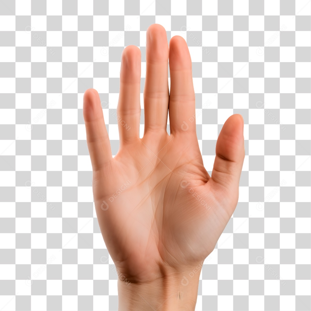 Mão Levantada PNG Transparente