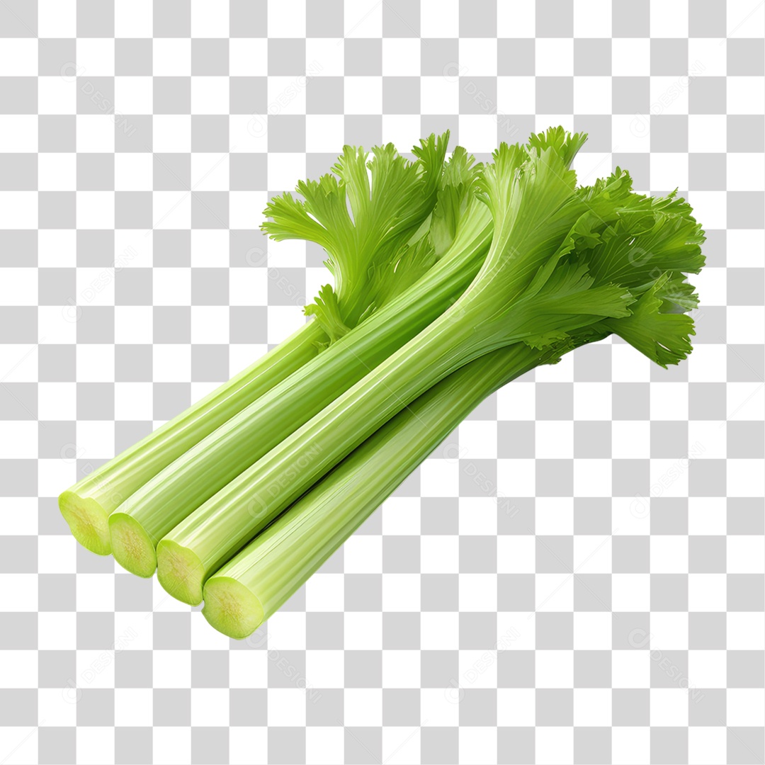 Folhas de Coentro PNG Transparente