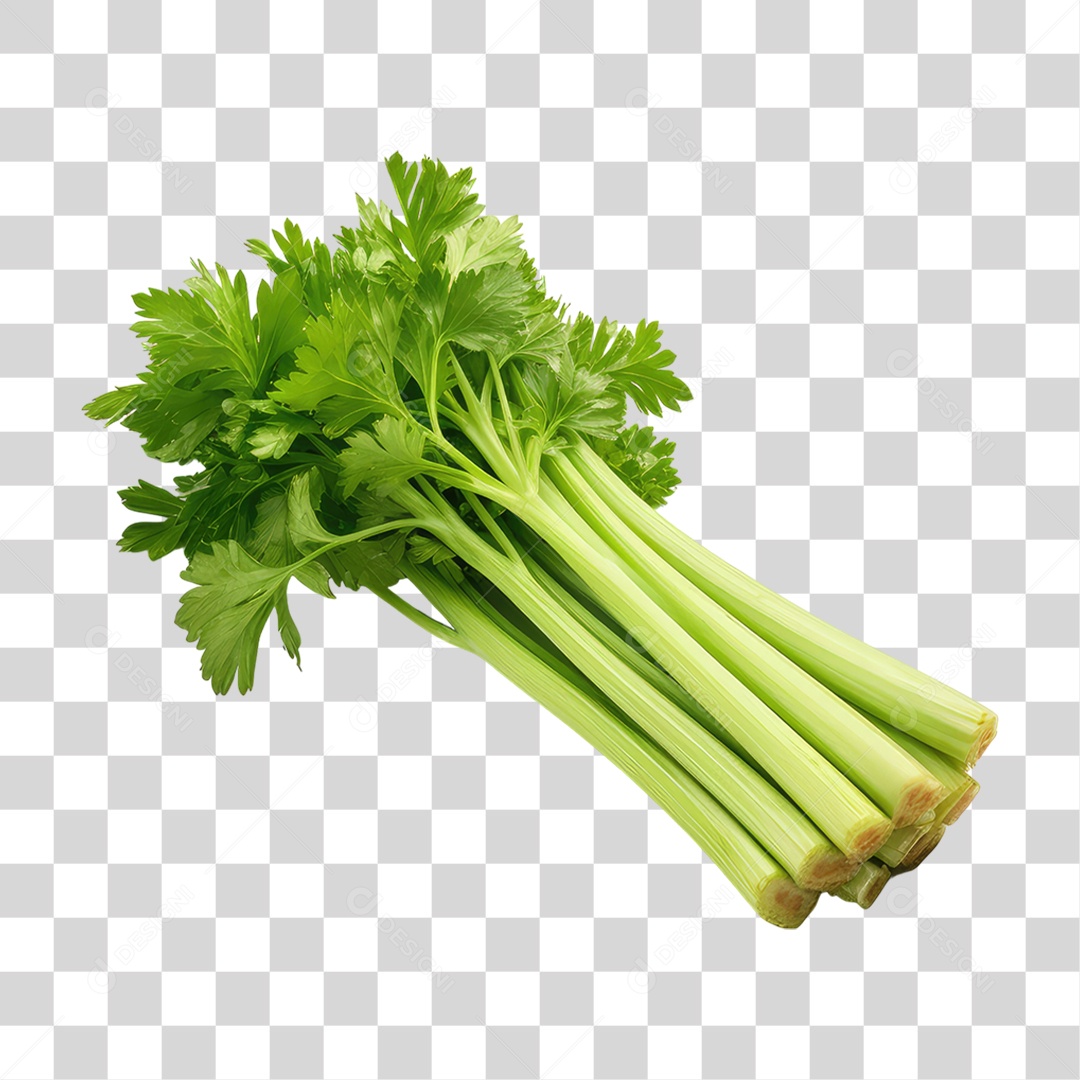 Folhas de Coentro PNG Transparente