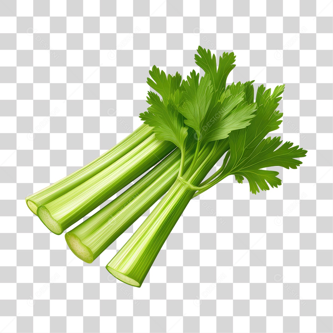 Folhas de Coentro PNG Transparente