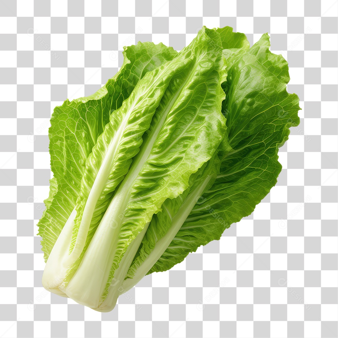 Folha de Alface PNG Transparente