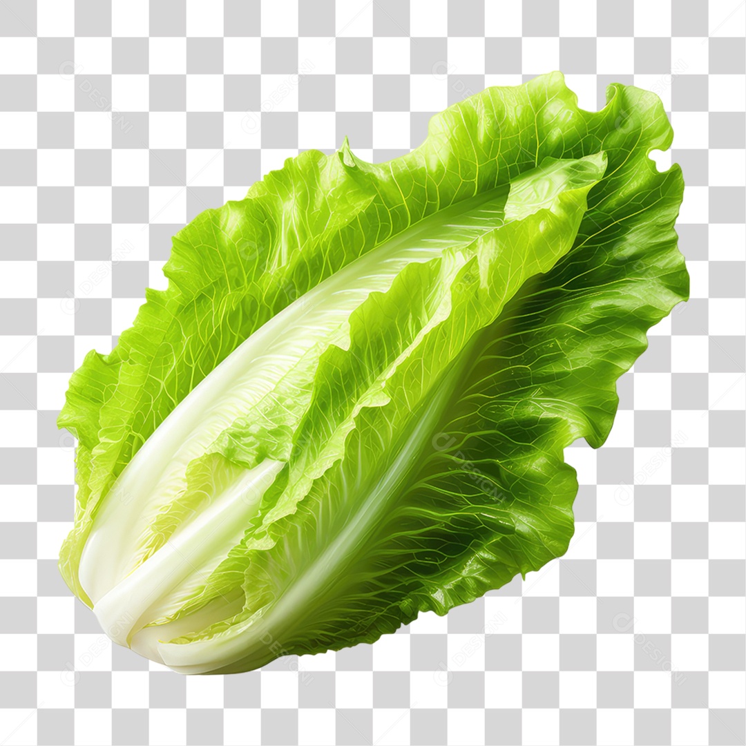 Folha de Alface PNG Transparente