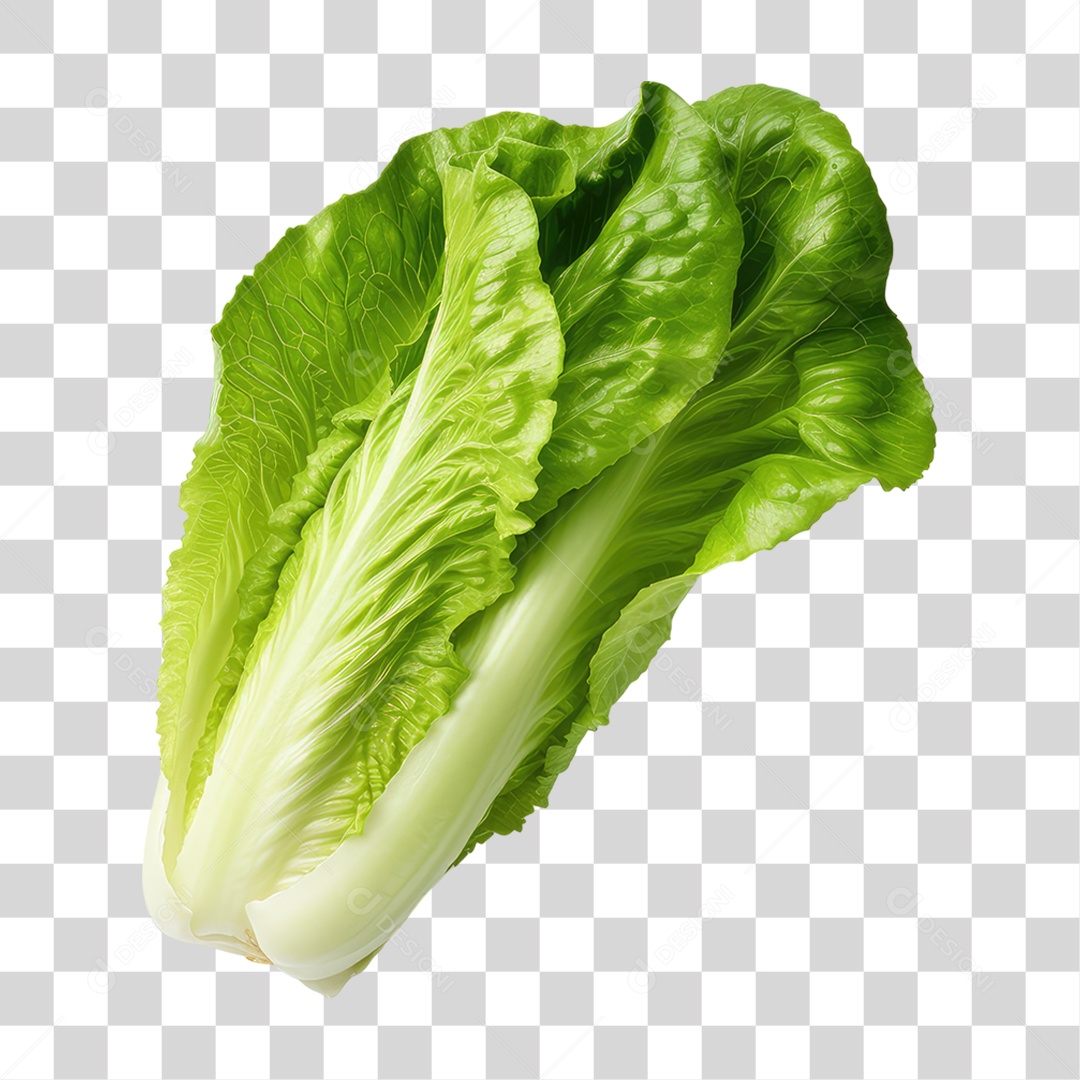 Folha de Alface PNG Transparente