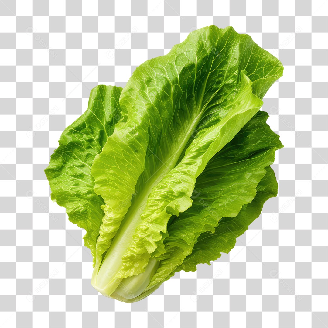 Folha de Alface PNG Transparente
