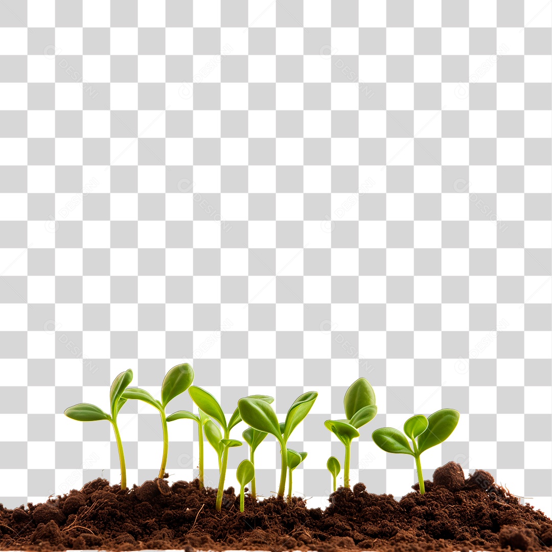 Solo com Plantas PNG Transparente