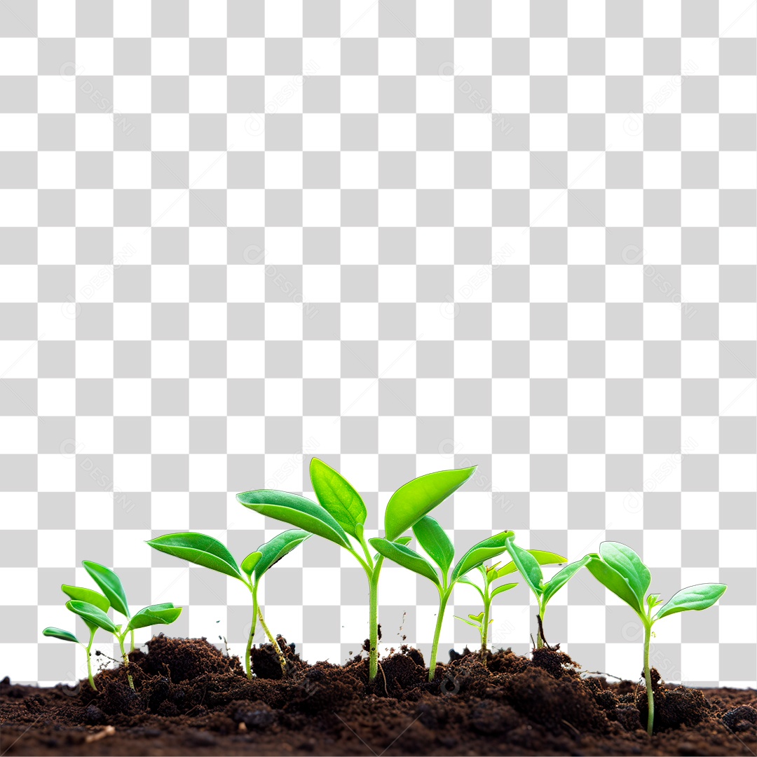 Solo com Plantas PNG Transparente