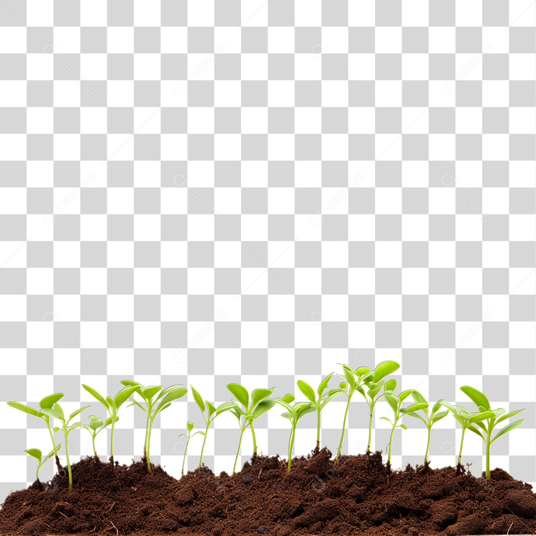 Solo com Plantas PNG Transparente