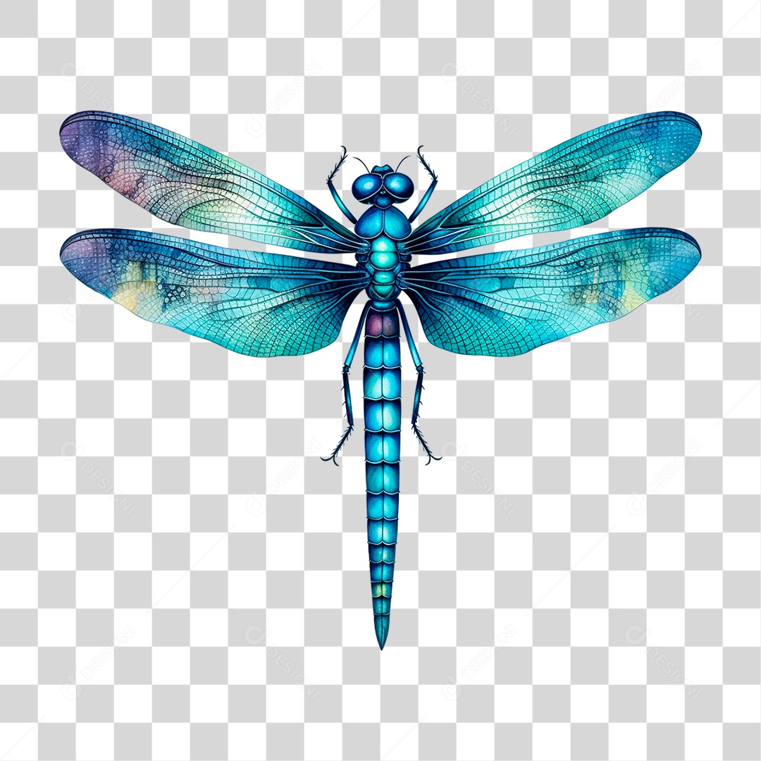 Libélula Azul PNG Transparente