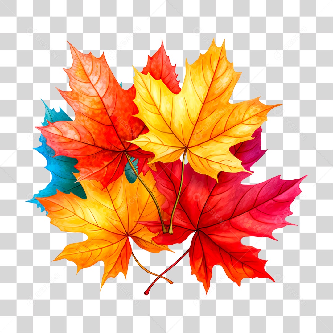 Folha Seca PNG Transparente