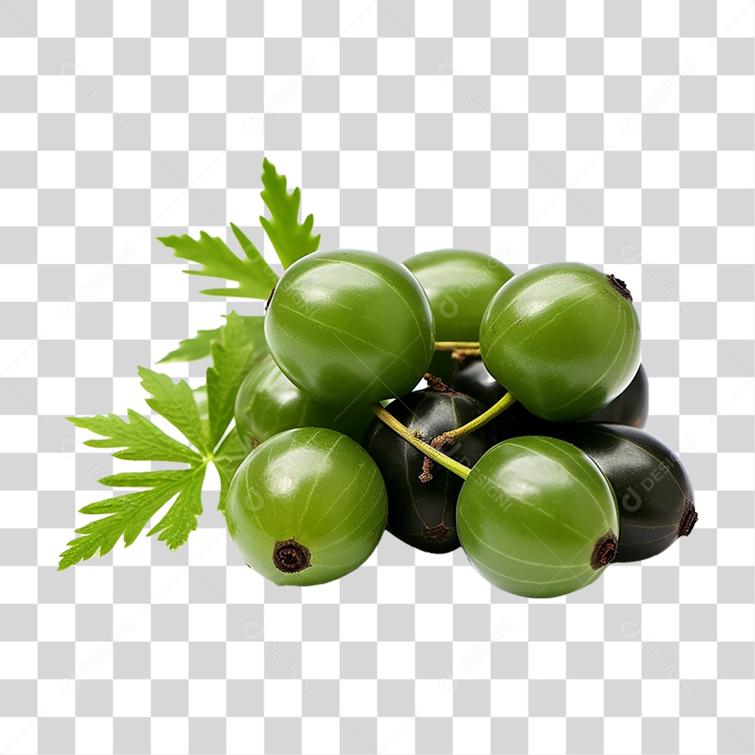 Frutos de Neem PNG Transparente