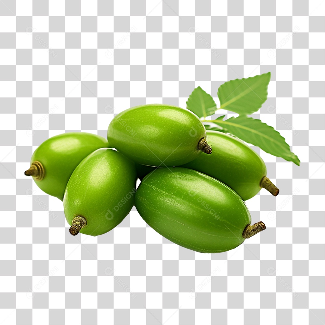 Frutos de Neem PNG Transparente