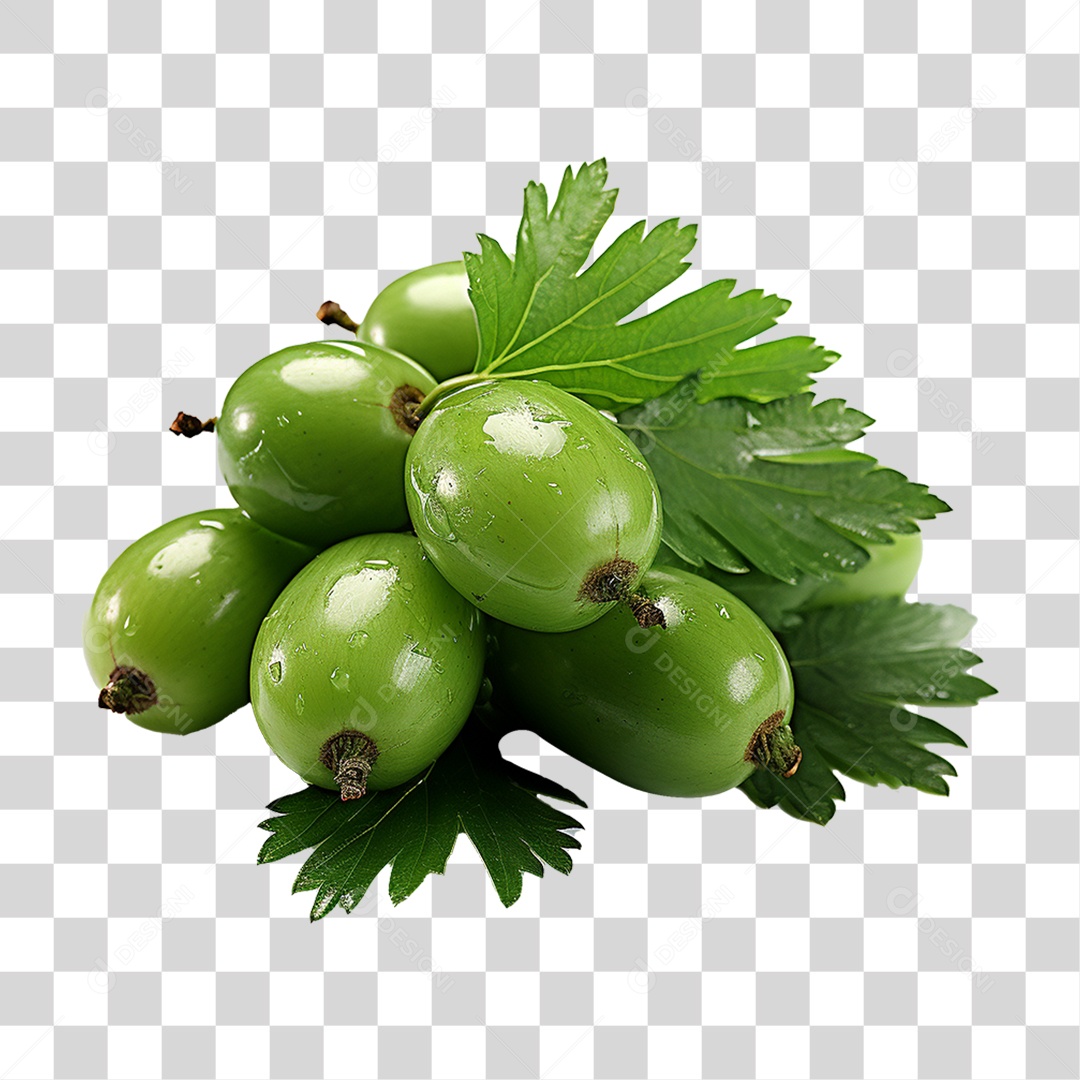 Frutos de Neem PNG Transparente