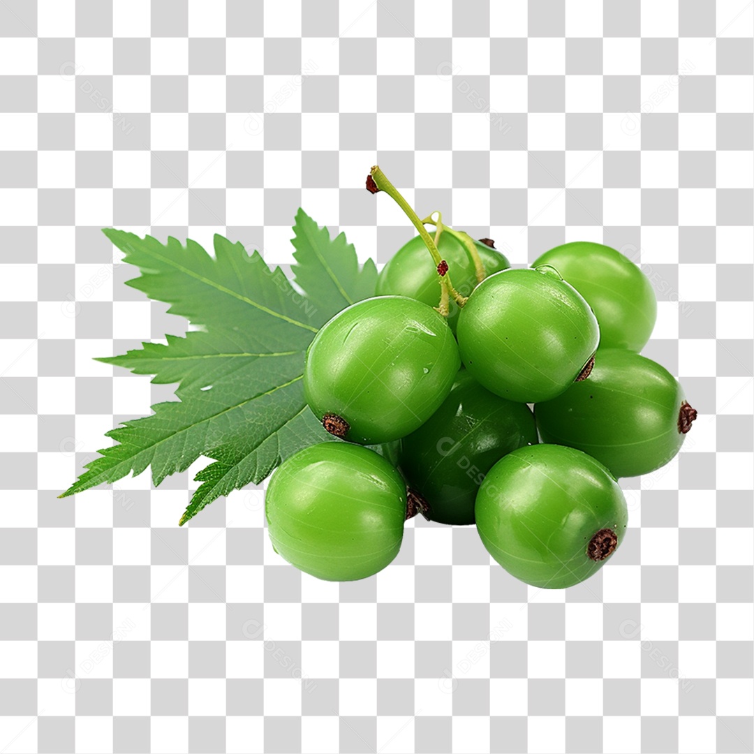 Frutos de Neem PNG Transparente