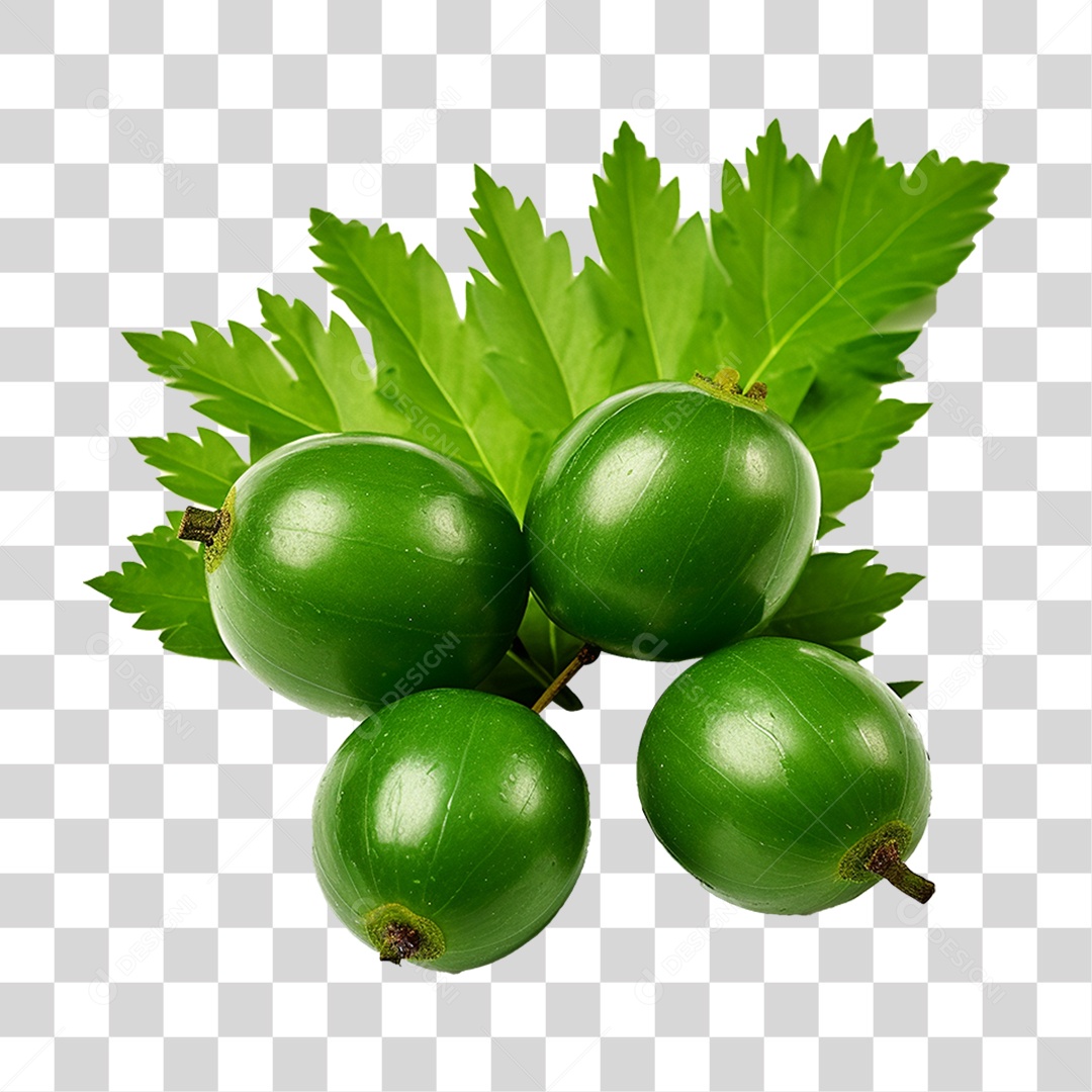 Frutos de Neem PNG Transparente