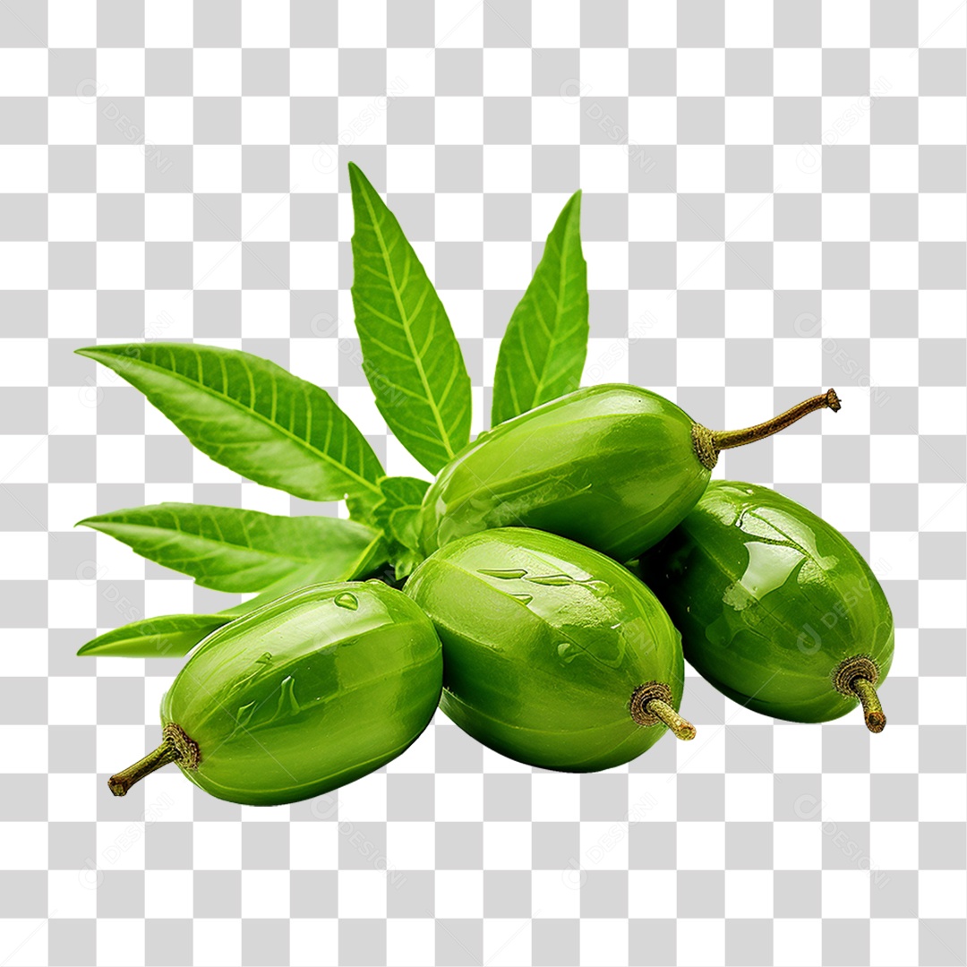 Frutos de Neem PNG Transparente