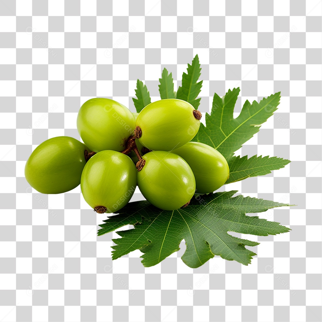 Frutos de Neem PNG Transparente