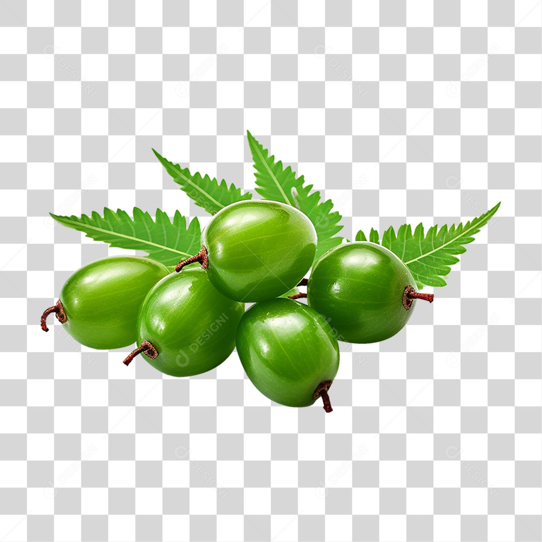 Frutos de Neem PNG Transparente